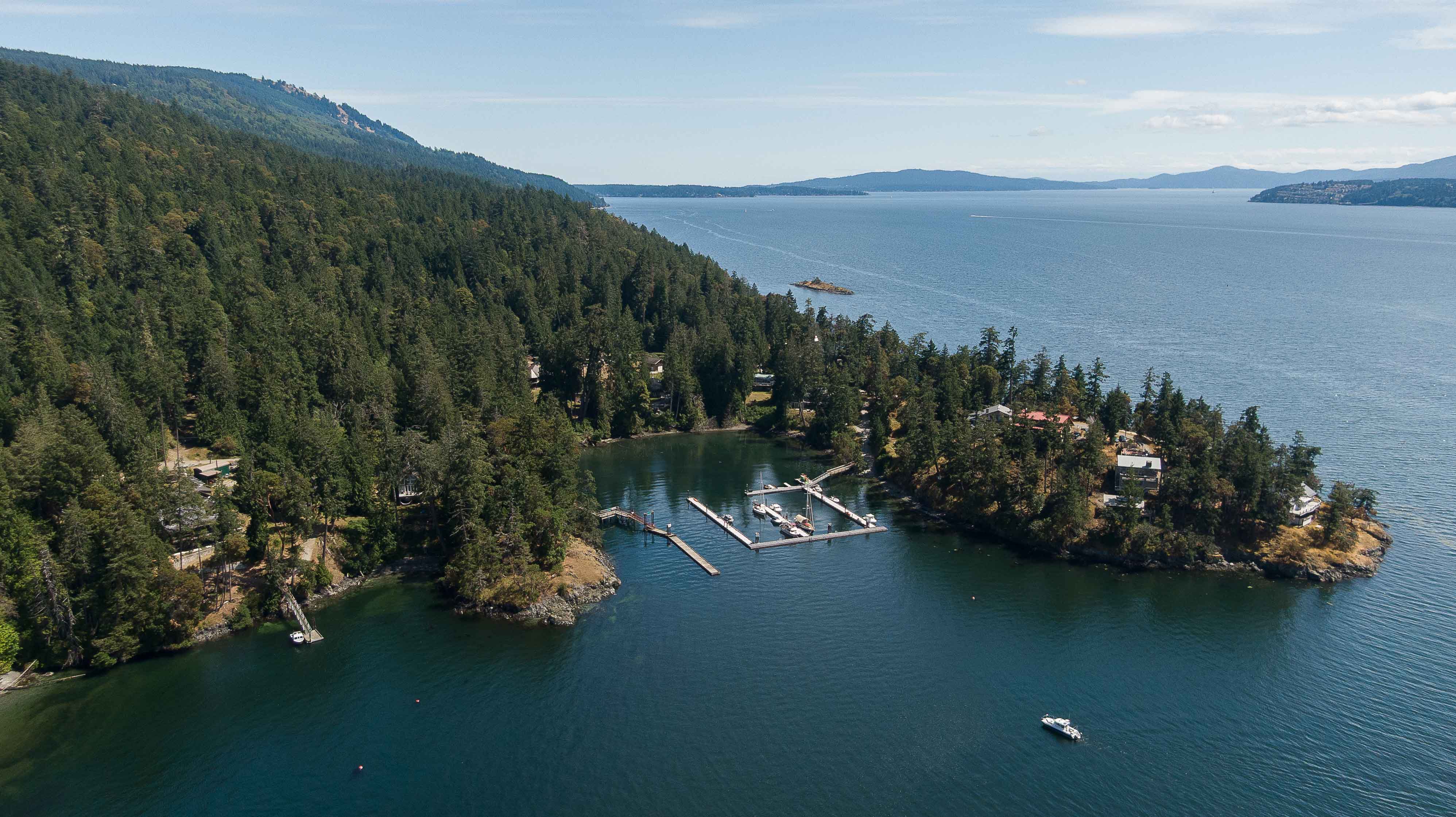 Aerial of Salt Spring Island and Musgrave Landing community docks